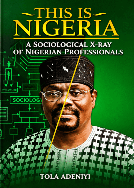 This is Nigeria: A Sociological X-Ray of Nigerian Professionals